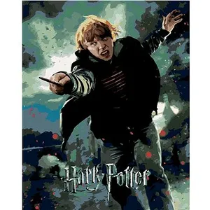 Plagát Harry Potter a relikvie smrti Ron, 40×50 cm, bez rámu a bez vypnutia plátna Plagát Harry Potter a relikvie smrti Ron, 40×50 cm, bez rámu a bez vypnutia plátna
