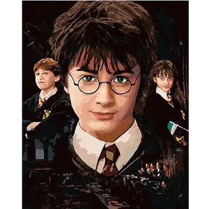 Harry Potter, Hermiona a Ron, 40 × 50 cm, plátno napnuté na rám Harry Potter, Hermiona a Ron, 40 × 50 cm, plátno napnuté na rám