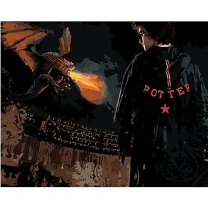 Harry Potter v aréne s drakom, 40 × 50 cm, plátno napnuté na rám Harry Potter v aréne s drakom, 40 × 50 cm, plátno napnuté na rám