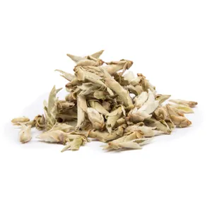CHINA YUNNAN WILD TEA BUDS - zelený čaj, 1000g CHINA YUNNAN WILD TEA BUDS - zelený čaj, 1000g